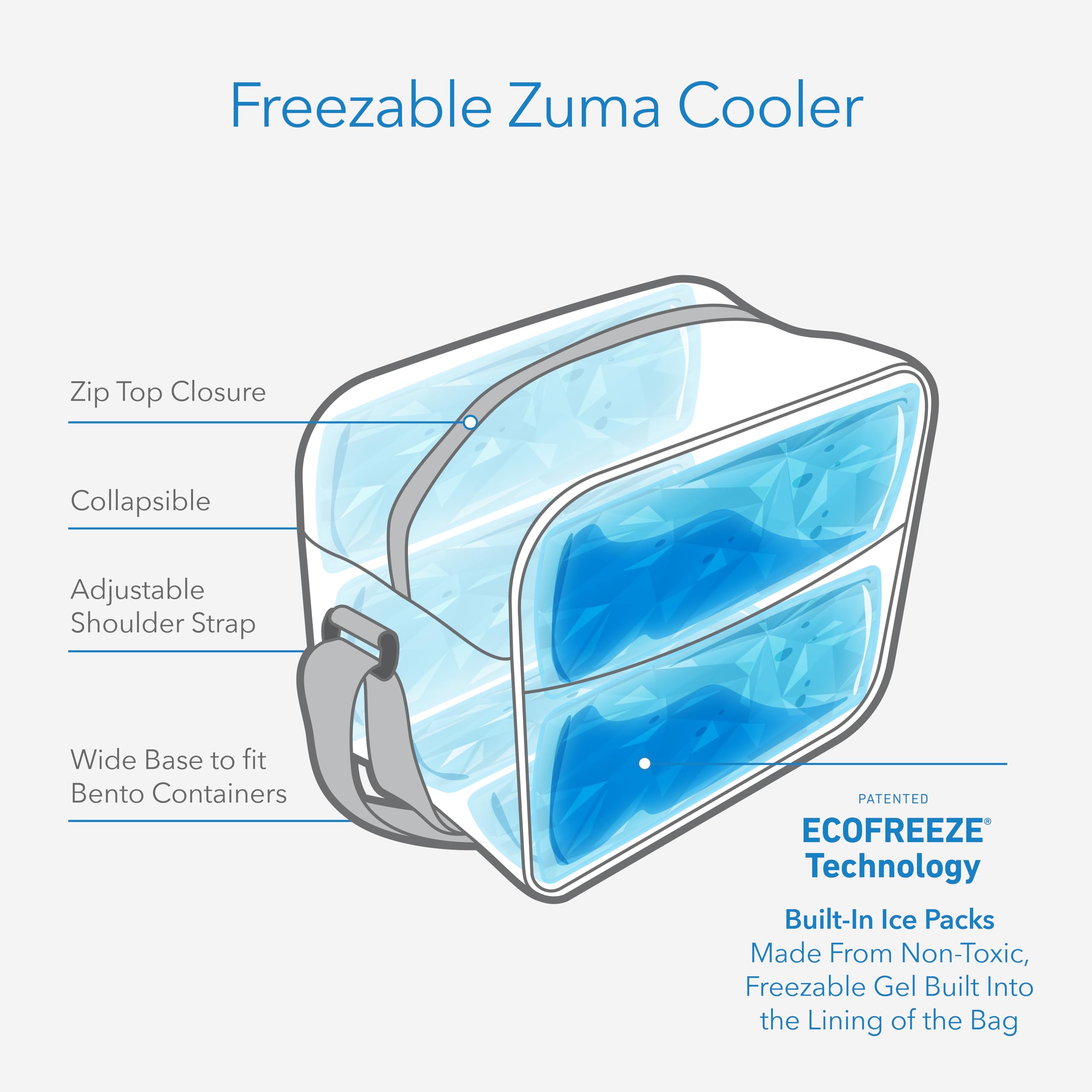 PackIt Freezable Zuma Can Cooler, Built with EcoFreeze Technology, Collapsible, Reusable, Zip Closure with Adjustable Shoulder Strap, Fits 15, 12 Oz Cans - Image 3